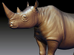 KIA Rhino